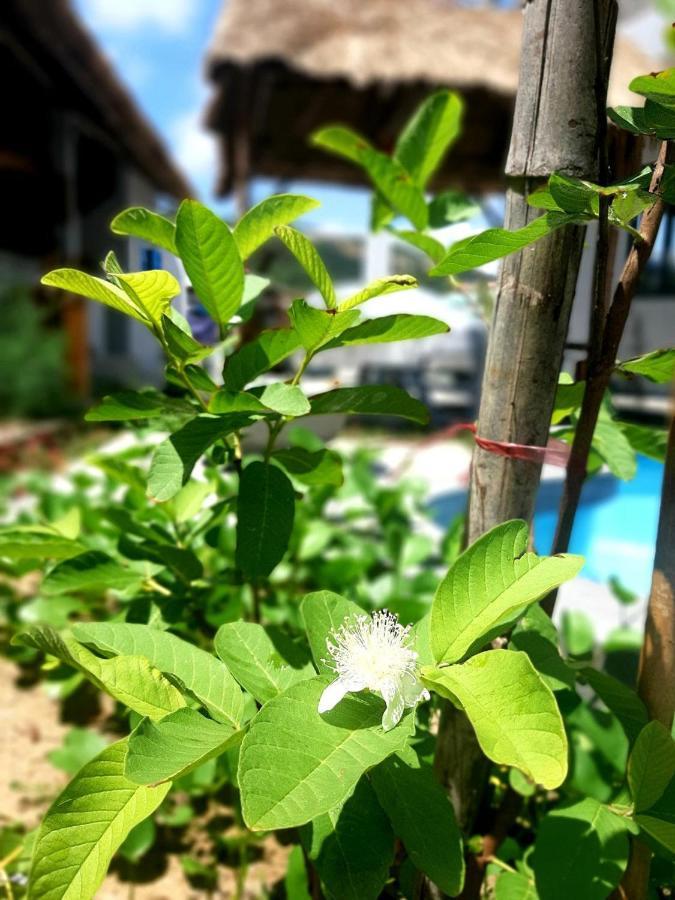 Song Cau Beach Hotel Phu Yen Экстерьер фото